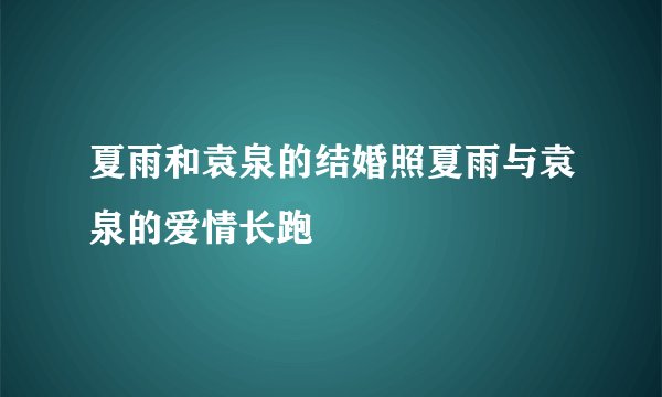 夏雨和袁泉的结婚照夏雨与袁泉的爱情长跑