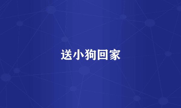 送小狗回家