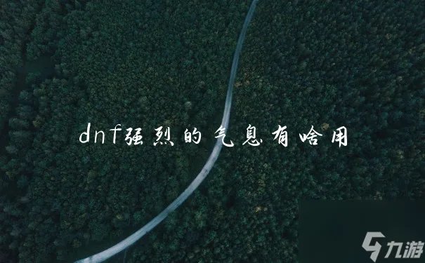 dnf强烈的气息有啥用
