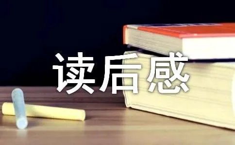 《堂吉诃德》读后感