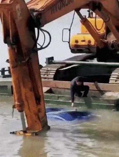 苏州一轿车坠湖,两工人用挖掘机接力救人,如何避免类似事故的发生?