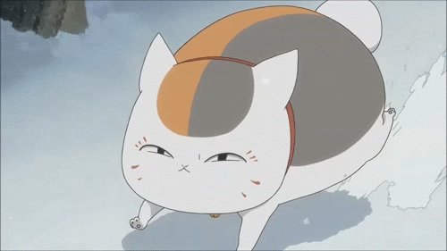 你家的猫做过哪些不可思议的事呢？