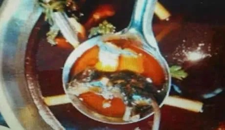 死老鼠放进火锅：具体详情这就是真相（图）