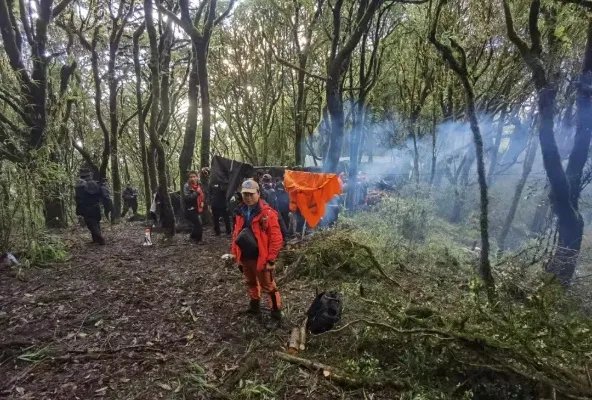 4名地质人员为什么在哀牢山遭遇不测 哀牢山遇难原因是什么？