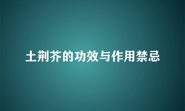 土荆芥的功效与作用禁忌