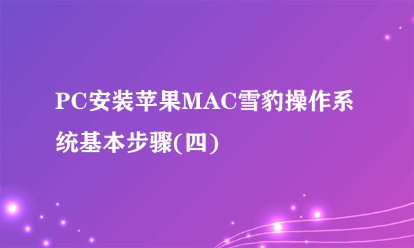 PC安装苹果MAC雪豹操作系统基本步骤(四)