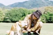 伊宁居民隔离宠物狗被扑杀,涉事干部被免,此事的处理方式有何不妥之处?