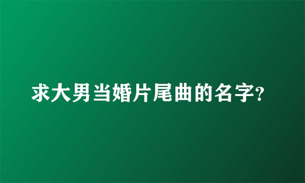 求大男当婚片尾曲的名字？
