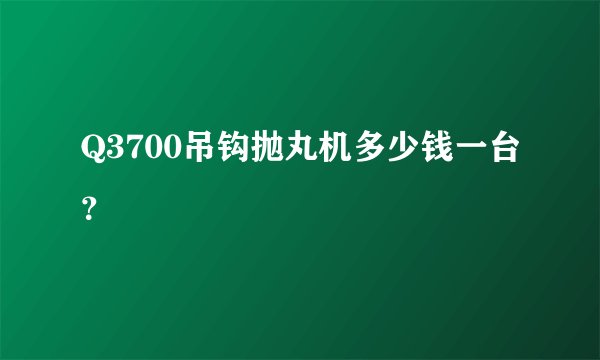 Q3700吊钩抛丸机多少钱一台？