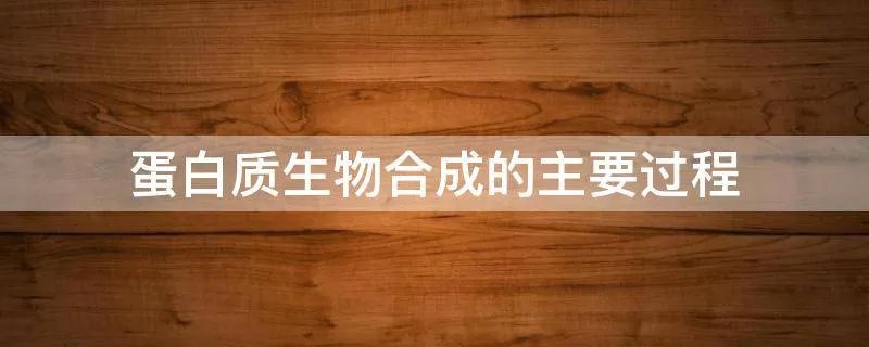 蛋白质生物合成的主要过程