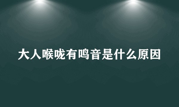 大人喉咙有鸣音是什么原因