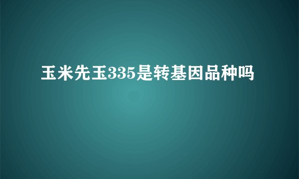 玉米先玉335是转基因品种吗