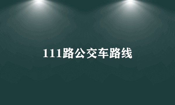 111路公交车路线