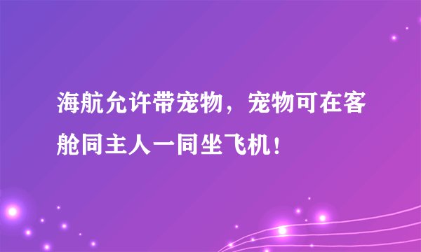 海航允许带宠物,宠物可在客舱同主人一同坐飞机!