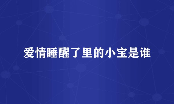 爱情睡醒了里的小宝是谁
