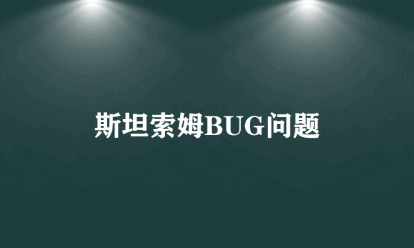 斯坦索姆BUG问题