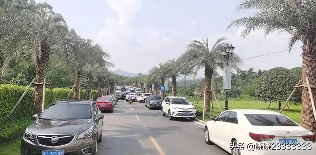 许家印说恒大房子七折是真的吗?为什么中介说没啥,骗人?炒作?