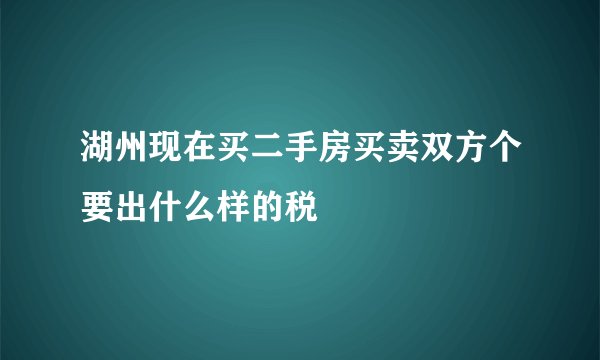 湖州现在买二手房买卖双方个要出什么样的税