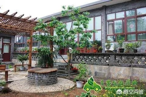 如何打造生态休闲农业园项目?