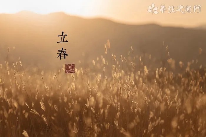 咖啡灌肠的副作用