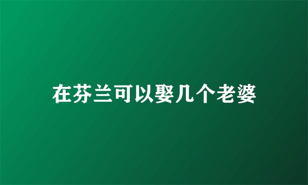 在芬兰可以娶几个老婆