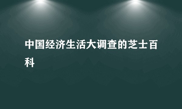 中国经济生活大调查的芝士百科
