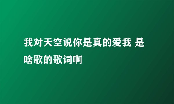 我对天空说你是真的爱我 是啥歌的歌词啊