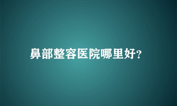 鼻部整容医院哪里好？