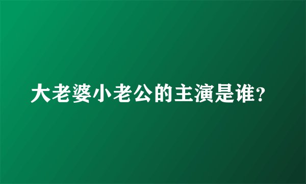 大老婆小老公的主演是谁？