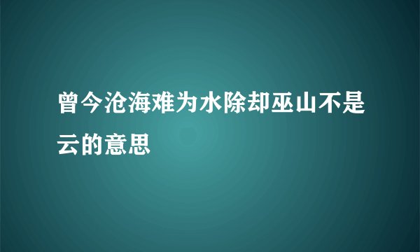 曾今沧海难为水除却巫山不是云的意思