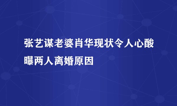 张艺谋老婆肖华现状令人心酸曝两人离婚原因