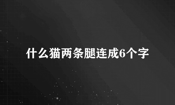什么猫两条腿连成6个字