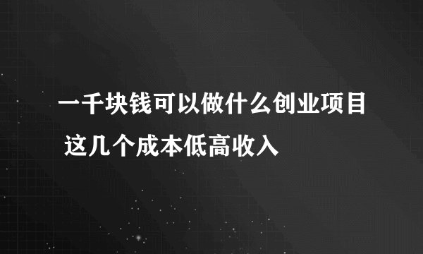 一千块钱可以做什么创业项目 这几个成本低高收入