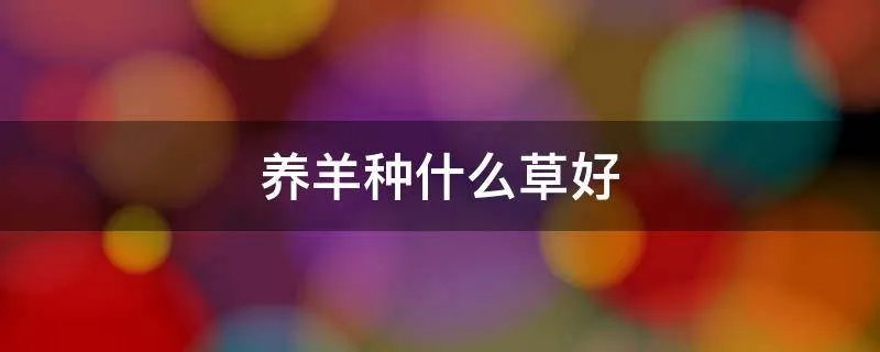 养羊种什么草好