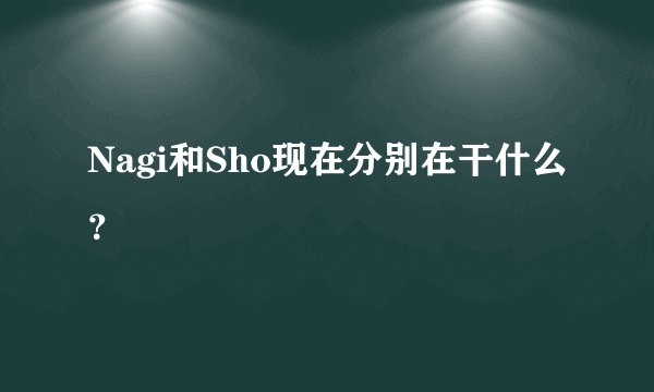 Nagi和Sho现在分别在干什么？
