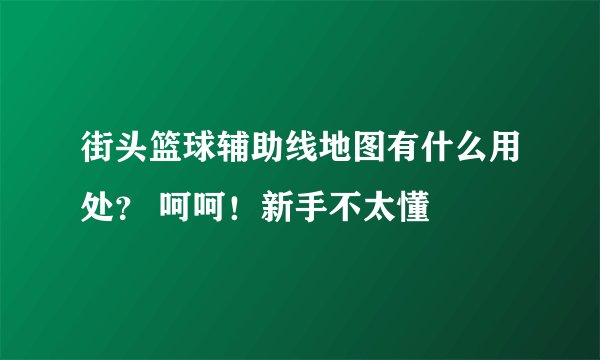 街头篮球辅助线地图有什么用处？ 呵呵！新手不太懂