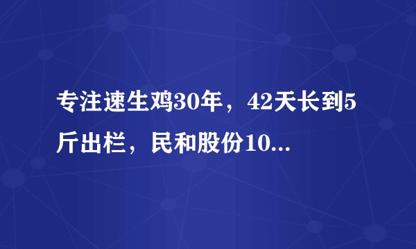 专注速生鸡30年,42天长到5斤出栏,民和股份10年净亏5亿