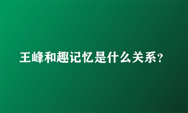 王峰和趣记忆是什么关系？