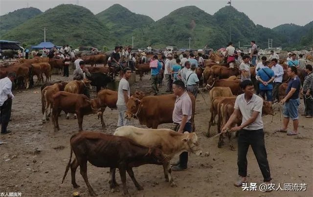 你认为中央电视台的《致富经》能让人致富吗?