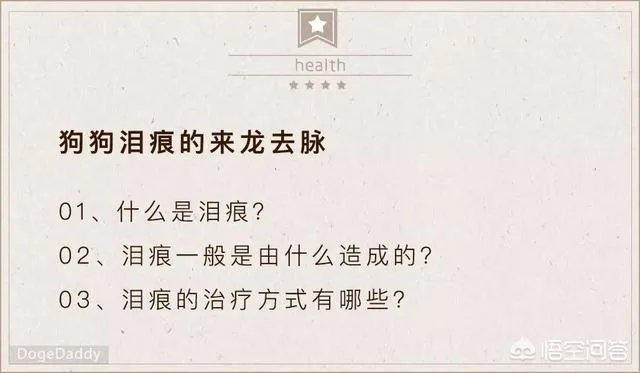 狗狗泪痕怎么解决？