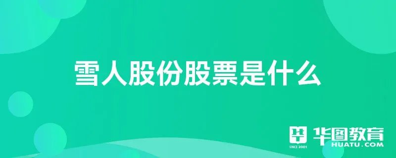 雪人股份股票是什么