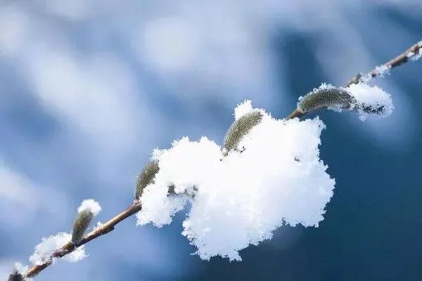 黑龙江漠河5月飞雪,你知道是受了什么影响吗?