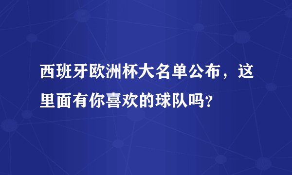 西班牙欧洲杯大名单公布，这里面有你喜欢的球队吗？
