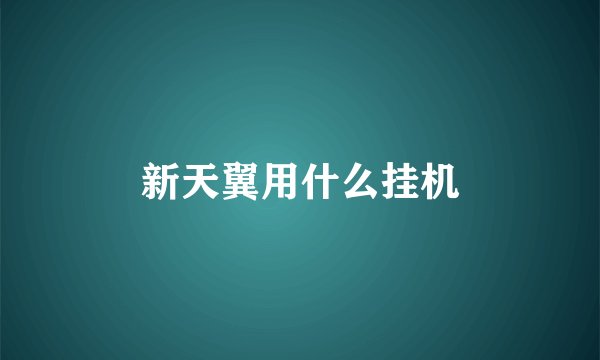 新天翼用什么挂机