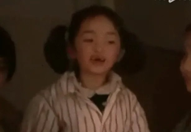 娱乐圈有哪些本来就长得很好看却还整容的明星?