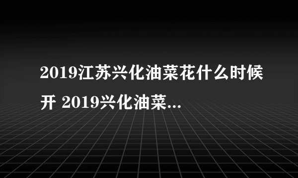 2019江苏兴化油菜花什么时候开 2019兴化油菜花景点在哪里