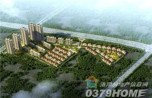鸭梨公司的剧情简介