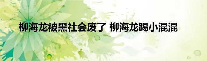 柳海龙被黑社会废了 柳海龙踢小混混
