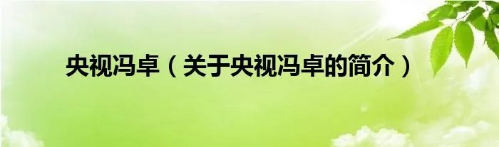 央视冯卓（关于央视冯卓的简介）