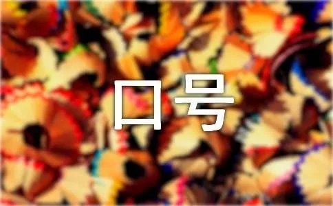 中队名称及口号